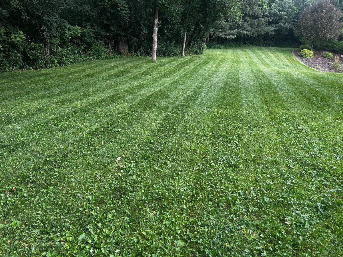 A wide backyard lawn cut in even mowing stripes, bordered by a mature tree line.