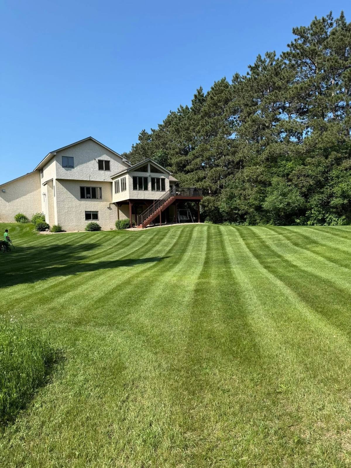 A large lawn cut in clean mowing stripes, running up to a white two-story house and a stand of pines.